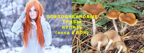мяу мяу мука Киренск
