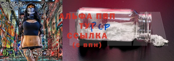 PSILOCYBIN Киреевск