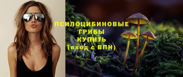 a pvp Кинешма